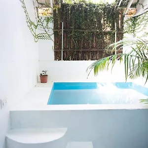 Calaila Premium Plunge Pool Varkala
