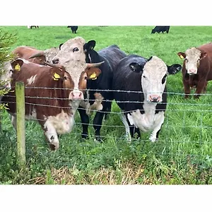 Farm stay Eastfield Free Parking And Ev Charger, Leven (East Riding of Yorkshire)